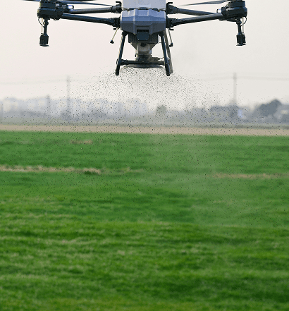 Swarm Seeding