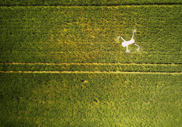 Crop Health Monitoring