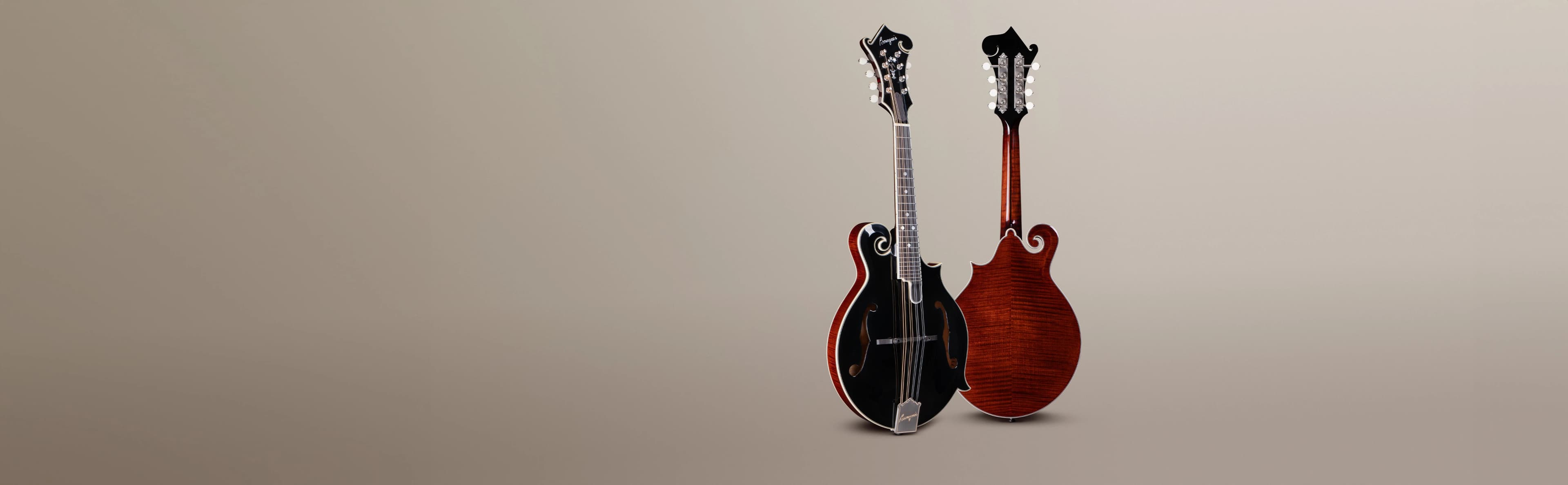 https://hmi-uat-admin.designonline.in/storage/productCategory/6/banner/1750852972_mandolins.webp